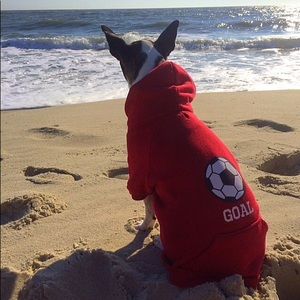 Meet your Posher, Krista